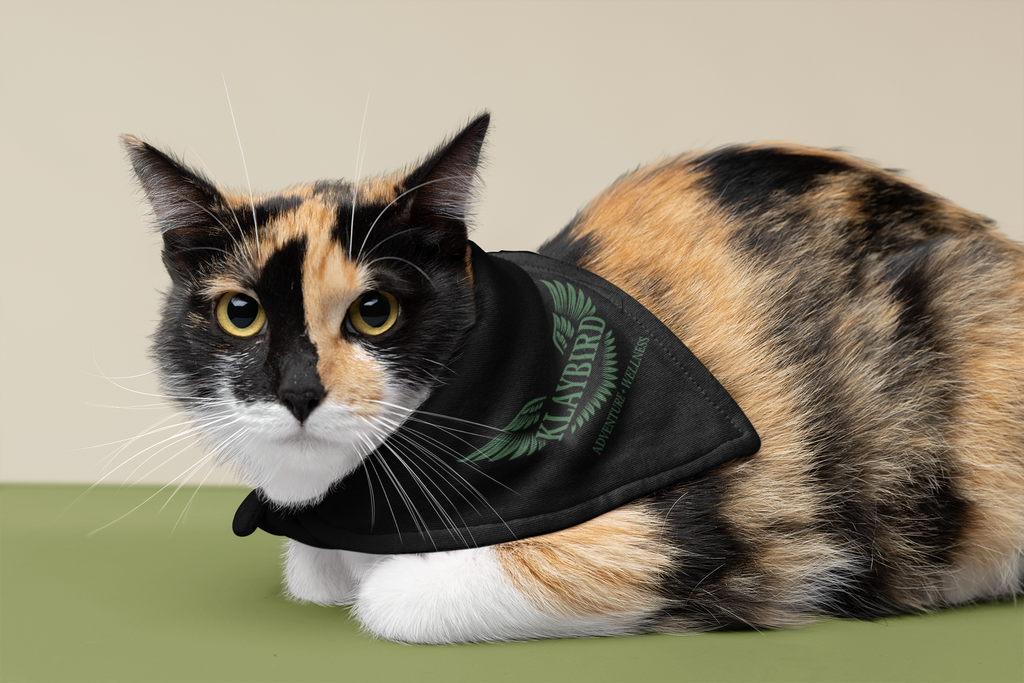 Clip-on Pet Bandana