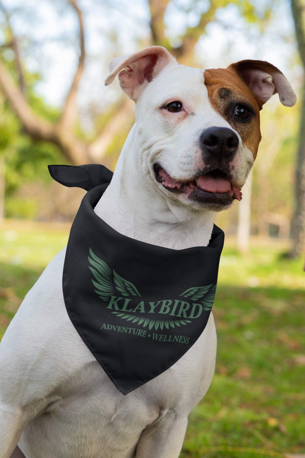 Clip-on Pet Bandana
