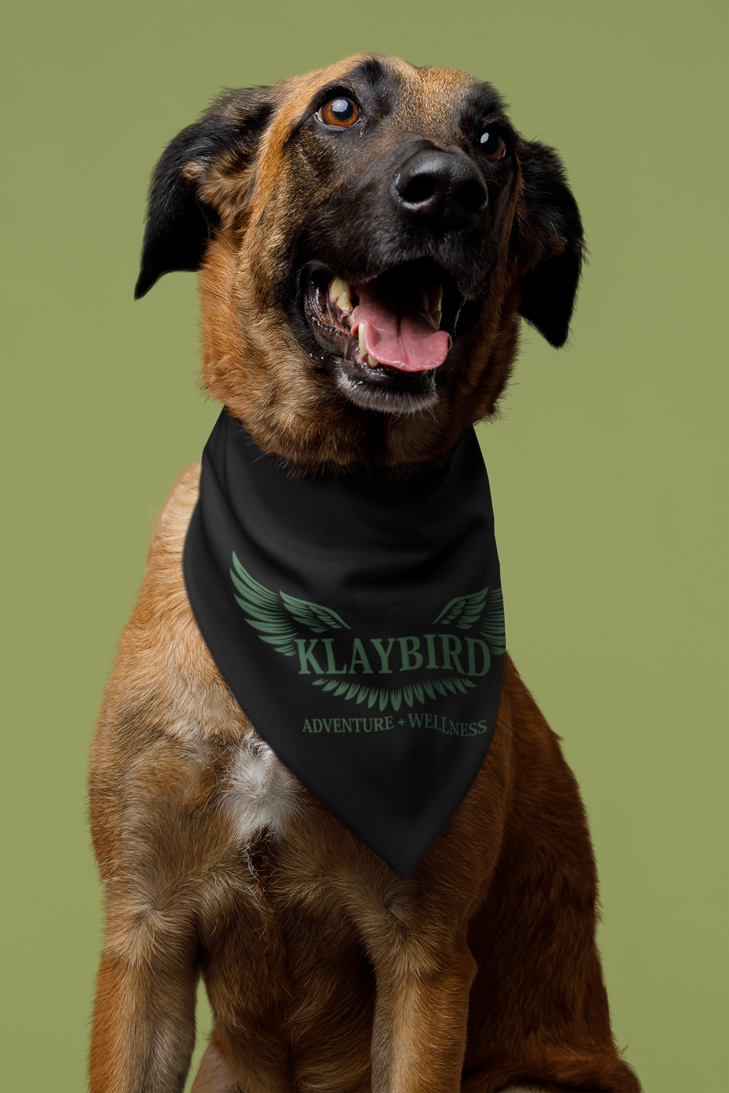 Clip-on Pet Bandana